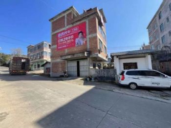 广东广州墙面彩绘 陆河手绘墙体广告落地传达