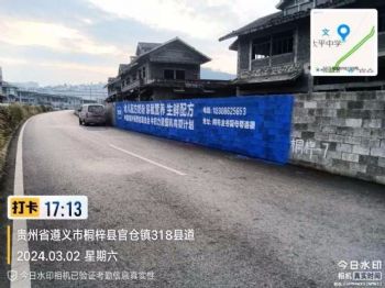 广东3d墙体彩绘汕尾佛冈墙体壁画彩绘汕尾3d墙体彩绘