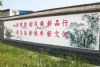 张掖乡村文化墙彩绘 美丽乡村彩绘壁画完善服务 烟囱美化刷油漆