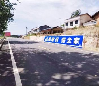 株洲新农村文化广场彩绘 防水防晒 芙蓉墙体广告