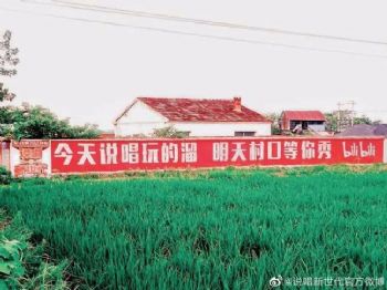 兰州室内手绘墙 乡村振兴彩绘 武威凉州室内手绘墙