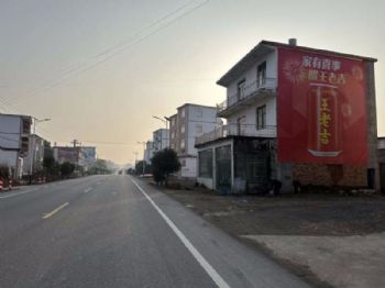 深圳刷墙广告 广东蓬江乡村振兴墙绘改善村容面貌