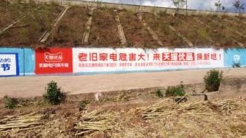 驻马店家具墙体广告乡镇墙壁广告,画面细腻 色彩艳丽