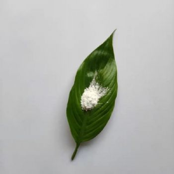 纳米氢氧化镁电池材料添加mg(oh)2