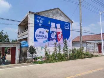 陕西 西安喷绘墙体广告 墙体广告电话 志丹文化墙彩绘绘画