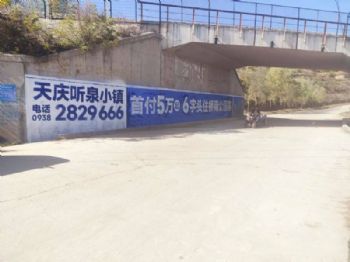 陕西汉中喷绘墙体广告贴合需求 未央写字墙体广告