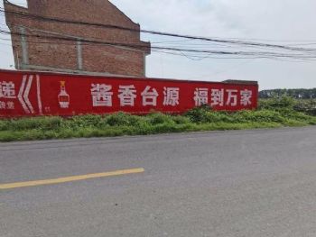 阳江墙体广告,柳州户外喷绘广告,临高县墙体彩绘