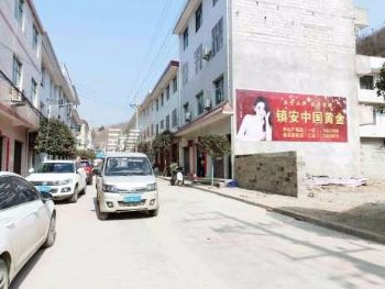 衡阳写字写广告 湖南衡阳刷墙广告 益阳宣传家风彩绘