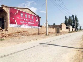 岳阳墙体广告厂家 湖南岳阳全国墙体广告 郴州艺术墙体彩绘