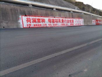株洲农村刷墙广告 湖南株洲墙体广告 娄底幼儿园彩绘墙