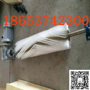 电动式毛刷清扫器厂家，保护皮带，易维修，煤矿电厂输送机皮带机清扫器