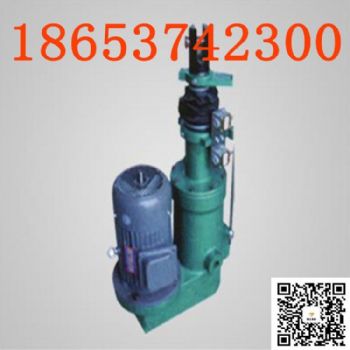 dtz直式电动推杆，定制推杆推力、行程，煤矿冶金电厂推杆dtz2000-500