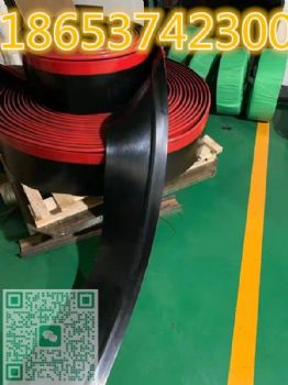 皮带机防溢裙板 ，导料槽挡煤皮子，200*15y型长尾、y型短尾、直板型定制