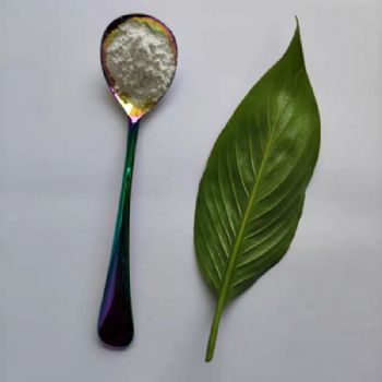 γ相伽马纳米氧化铝 粉末涂料抗结块30nm聚氨酯涂料抗刮擦剂