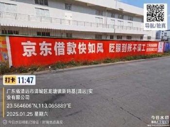 陕西商洛墙体广告 商洛手绘墙体广告 锁定城乡市场