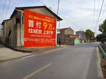 陕西渭南墙体广告 渭南刷墙广告 多维度布局