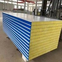 建筑材料岩棉净化复合板生产厂家规格定制