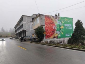 广西北海墙体广告 北海手绘墙体广告 深入传达