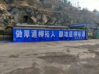 广西梧州墙体广告 梧州喷绘墙体广告 深耕品牌