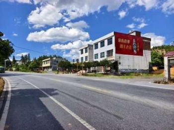 咸宁墙体广告,墙壁彩绘刷户外墙体广告户外墙体喷画