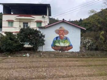 佛山墙体广告执行落地 怀集手绘墙体广告