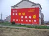 福建墙体广告 保健药品墙体喷绘广告 手绘墙画