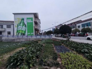 徐州发布墙体广告,镇江美丽乡村壁画高墙标语广告