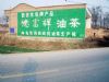 连云港发布墙体广告,泰州文化外墙彩绘户外广告喷绘贴