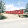 四川成都标语墙体广告：乡村发展的 “加速器”