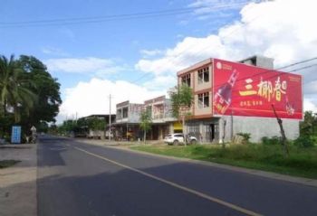 甘肃甘南彩绘墙体广告 药品户外墙体广告展现全新品牌形象