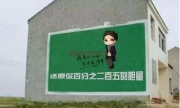墙体广告白银手绘墙体广告 新农村墙体彩绘创造品牌新篇章
