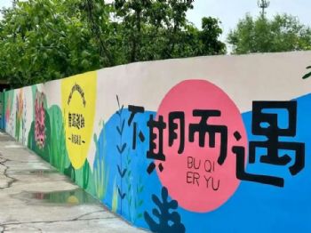 安徽医院手写墙体广告 房地产外墙彩绘