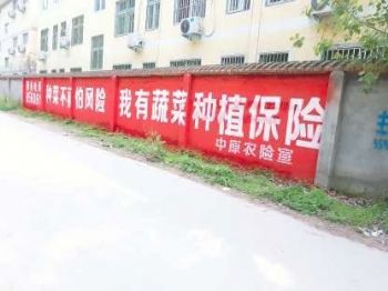 白银墙体广告 果洛墙面喷绘广告 阿拉尔美丽乡村彩绘壁画