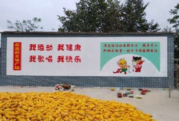 恩施集装箱彩绘新农村文化广场彩绘 水塔彩绘工程