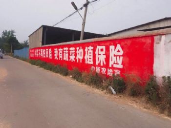 墙体手绘广告四川泸州手绘魅力，绽于墙体之间
