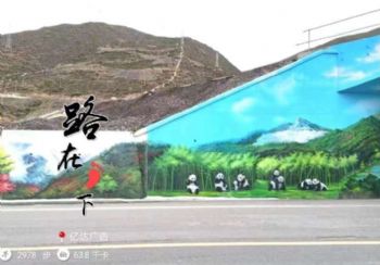 邯郸美丽乡村彩绘壁画筒仓美化外墙墙画外墙创意彩绘