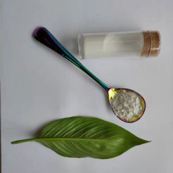 纳米氧化钇钢铁及有色合金的添加剂cy-y02