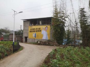 唐山农村户外广告,房地产刷户外广告,保定壁画涂鸦