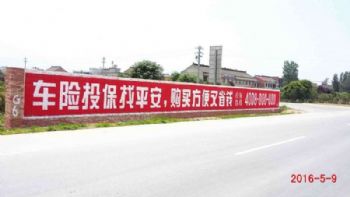 泉州墙体广告,宁德墙体挂布广告,保健食品户外墙体喷绘广告