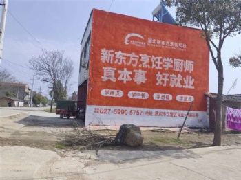 巢湖墙体广告,芜湖户外墙体喷绘广告,新能源墙体户外广告
