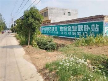 芜湖墙体广告,马鞍山喷绘墙体广告,爱护眼科喷绘广告公司