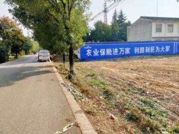 墙体广告湖南张家界喷字墙体广告 湘西望城墙体广告后期维护