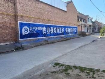 墙体广告湖南株洲美丽乡村墙绘 岳阳墙体广告角逐市场