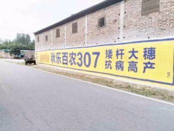 墙体广告湖南永州喷绘墙体广告 郴州墙体广告通达率高