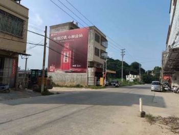 墙体广告湖南衡阳墙绘彩绘 芙蓉手绘墙体广告执行落地