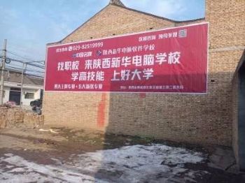 墙体广告湖南株洲墙体写大字广告 衡阳墙体写大字布局合理