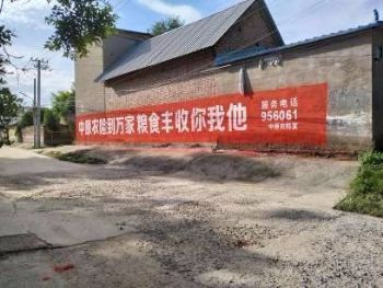 墙体广告广东中山墙体写大字 汕头房地产喷绘墙体广告