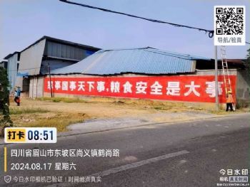 墙体广告广东韶关喷绘墙体广告 新丰农业喷绘墙体广告