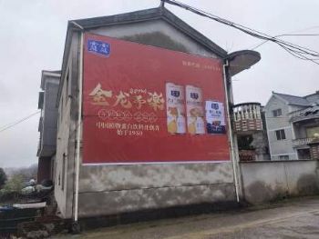墙体广告广东汕头墙体广告 台山油漆区县墙体广告