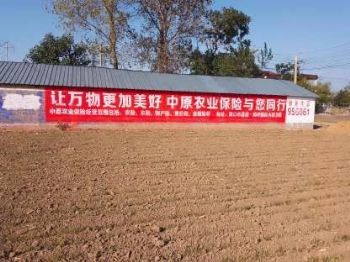 墙体广告广东江门刷墙体广告 罗定管道手绘墙体广告